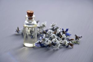 Lavendelolie en eucalyptusolie combineren: twee etherische oliën als basis voor aromatherapie en persoonlijke geurbeleving
